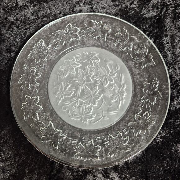 Princess House Fantasia Set of 4, 10-inch Dinner Plates Frosted Center EUC - Picture 3 of 5